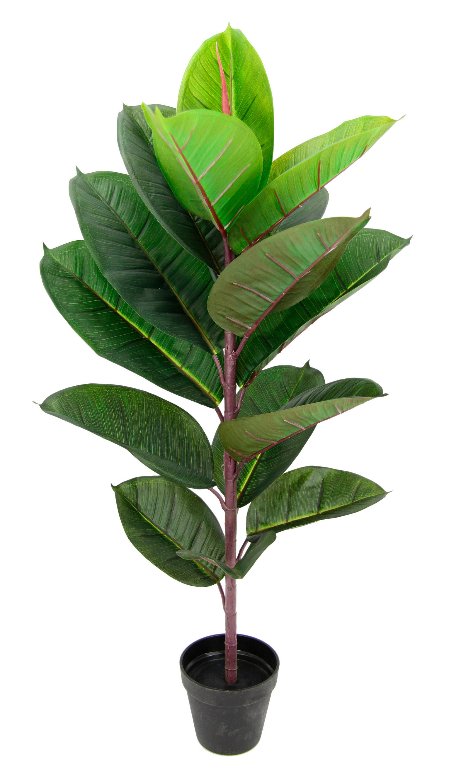XXXLutz Kunstpflanze Grün 84 cm