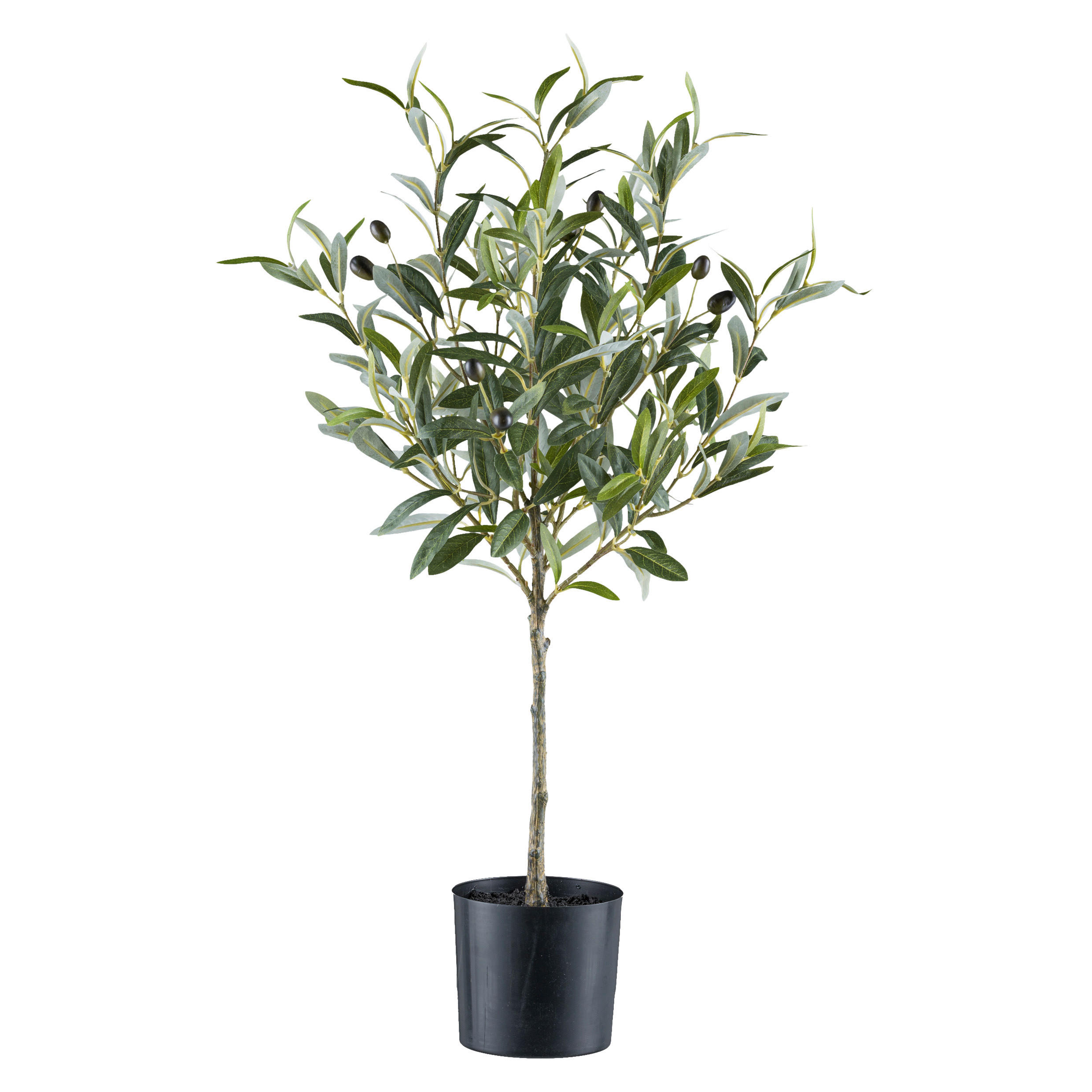 KUNSTPFLANZE Olive 70 cm  - Schwarz/Grau, Basics, Kunststoff (70cm) - P & B