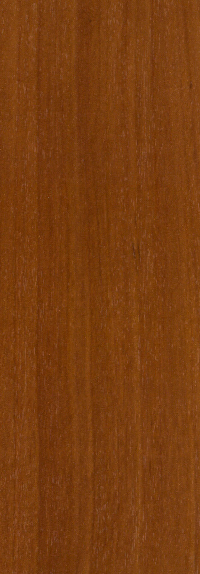 Klebefolie 55564 Klebefolie Deko Standard