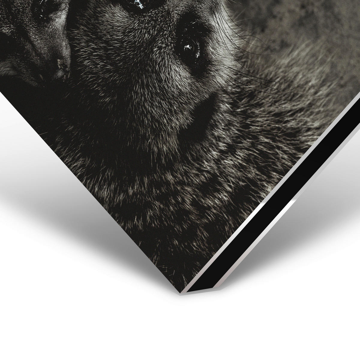 ALUMINIUMBILD 98/148 cm  - Schwarz/Weiß, Design, Kunststoff/Metall (98/148cm)