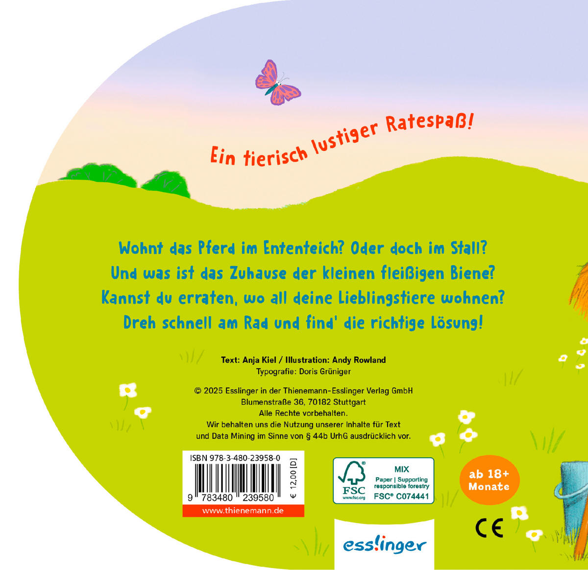 BUCH  - Multicolor, Basics, Papier (16,8/16,5´6/1,8cm) - Carlsen