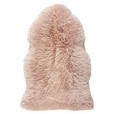 SCHAFFELL 60/90 cm  - Rosa, Trend, Fell (60/90cm) - Linea Natura