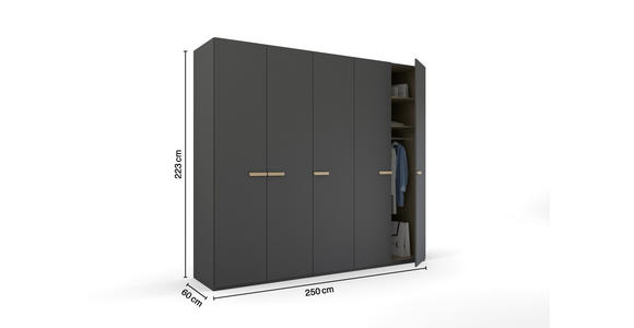 DREHTÜRENSCHRANK 251/223/60 cm 5-türig Graphitfarben - Graphitfarben, Trend, Holz/Holzwerkstoff (251/223/60cm) - Novel