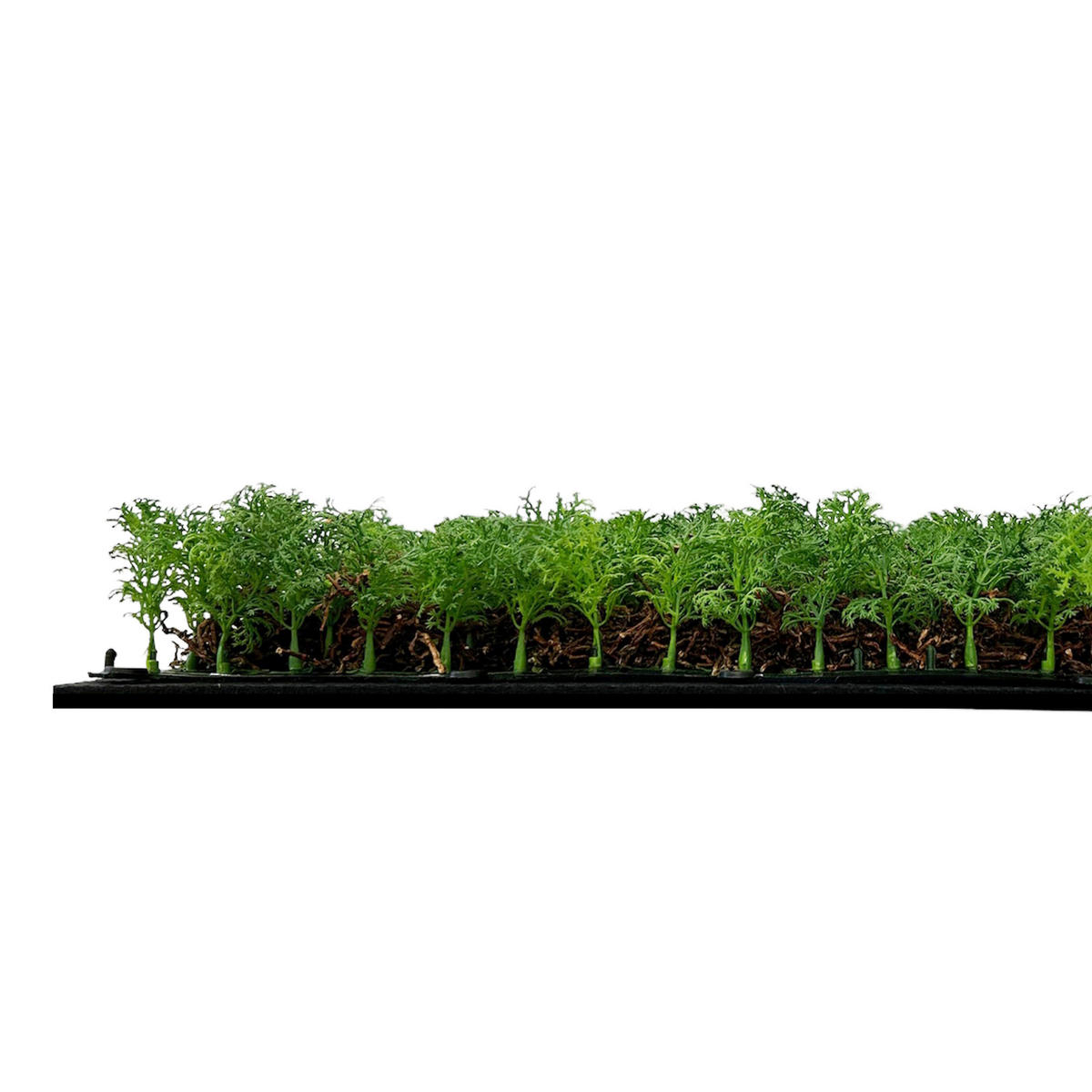 AKUSTIKPANEEL Modular Wall System Nature Design Flora 52/52/6 cm  - Hellgrün, KONVENTIONELL, Kunststoff (52/52/6cm) - Jangal