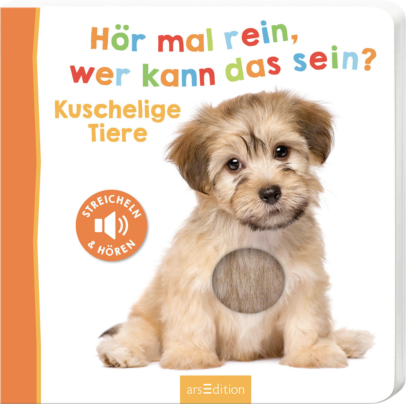 BUCH - Multicolor, Basics (20/20/2cm)