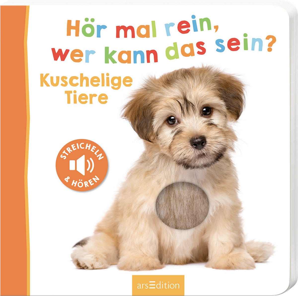 BUCH - Multicolor, Basics (20/20/2cm)