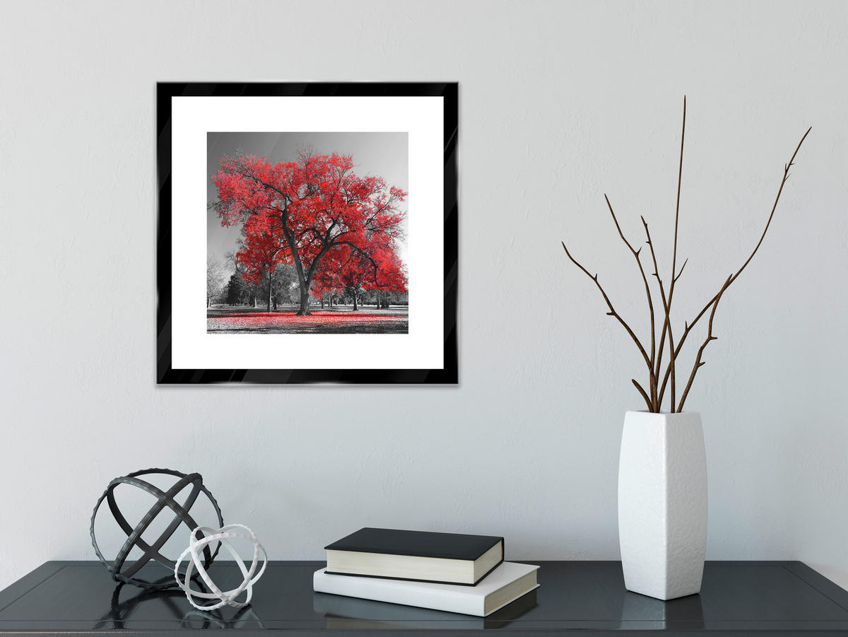 GLASBILD Bäume  - Rot/Schwarz, Basics, Glas (30/30/1,40cm) - Euroart