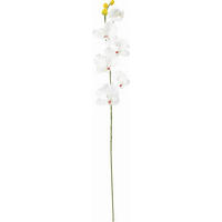 UMELÝ KVET orchidea 72 cm - zelená/krémová, Basics, textil (72cm)