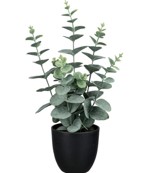 KUNSTPFLANZE Eukalyptus 38 cm  - Schwarz/Grau, Basics, Kunststoff (38cm)