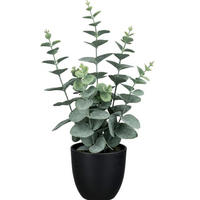KUNSTPFLANZE Eukalyptus 38 cm  - Schwarz/Grau, Basics, Kunststoff (38cm)