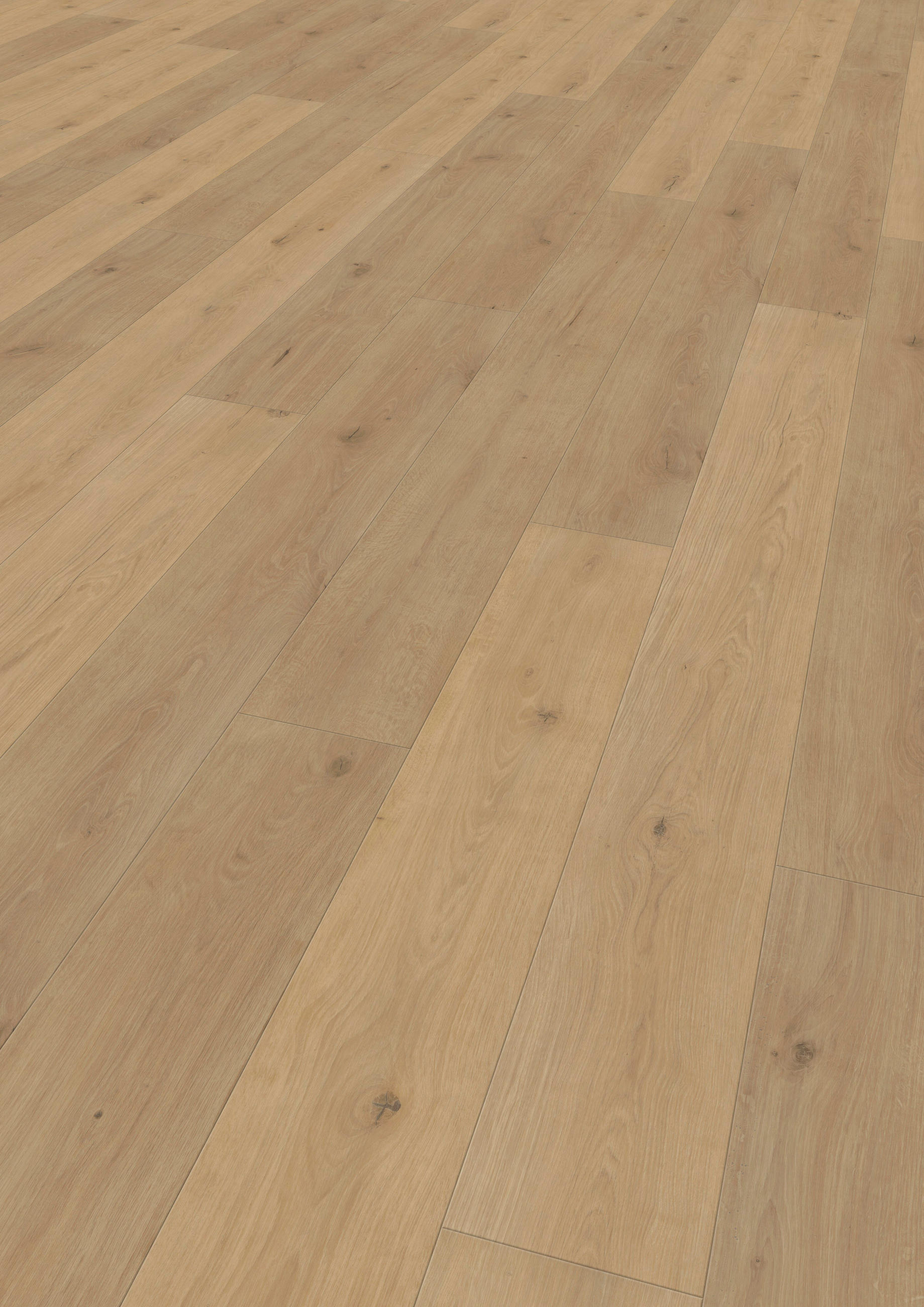 VINYLBODEN Elito Trend Eiche Crema!Pur 100005301  per  m² - Design, Holz (220/21,6/1cm) - Tilo