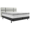 BOXSPRINGBETT 160/200 cm  in Anthrazit, Creme  - Anthrazit/Creme, Design, Textil/Metall (160/200cm) - Esposa