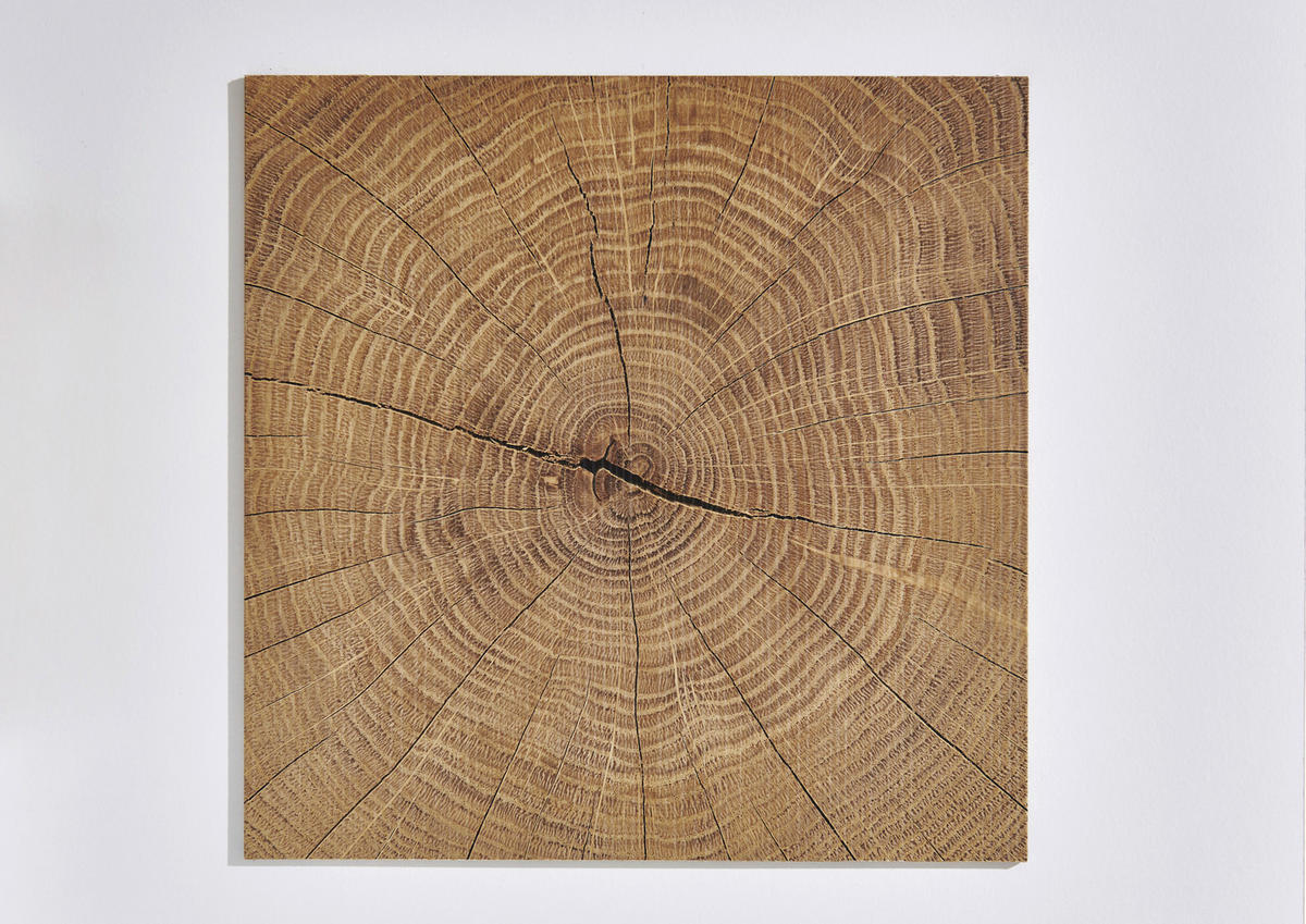 BABYKLEIDERSCHRANK - Weiss/Eichefarben, Modern, Holzwerkstoff (135/199/58cm) - MID.YOU
