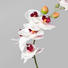 KUNSTBLUME Orchidee - Dunkelgrün/Rosa, Kunststoff (42cm) KUNSTBLUME Orchidee - Dunkelgrün/Rosa, Kunststoff (42cm)