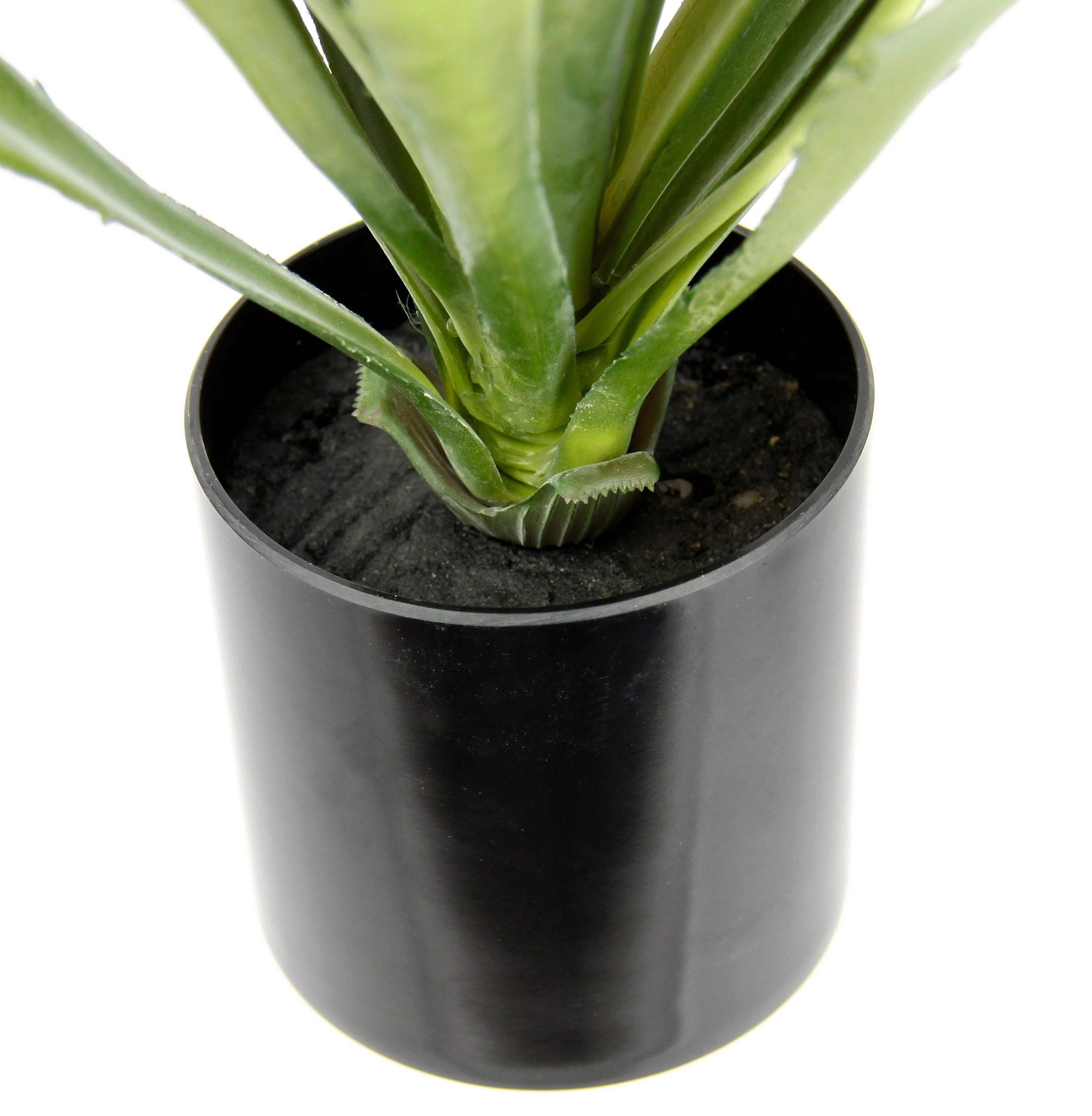 AGAVE  - Grün, Basics (15/38/15cm)