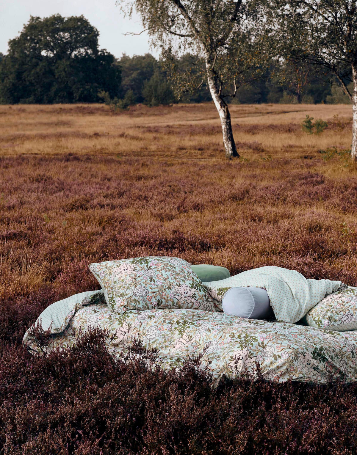BETTWÄSCHE OPHELIA Satin  - Blau, Basics, Textil (155/220cm) - Essenza