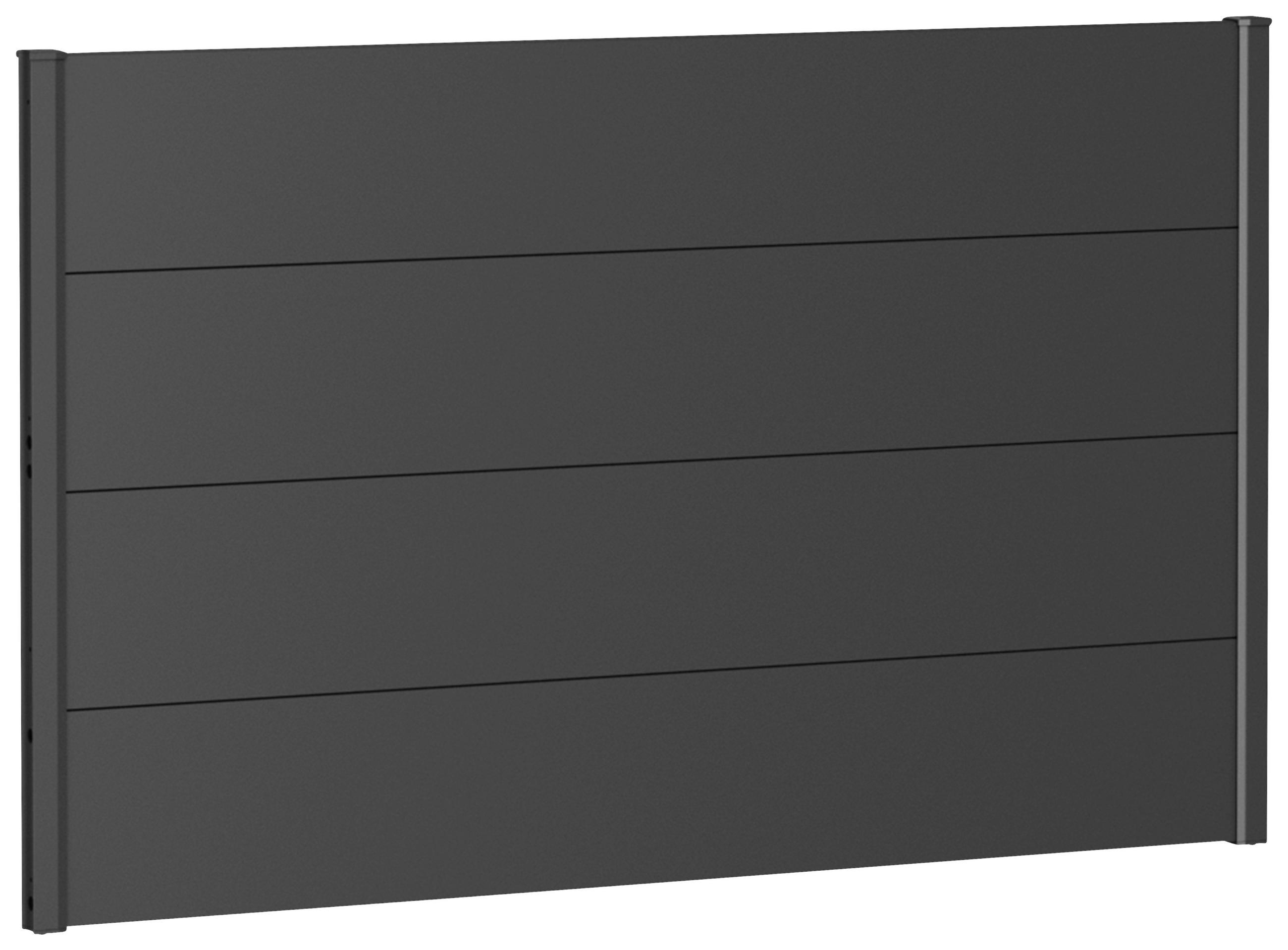SICHTSCHUTZ - Dunkelgrau, Basics, Metall (145/91/4,4cm) - Biohort