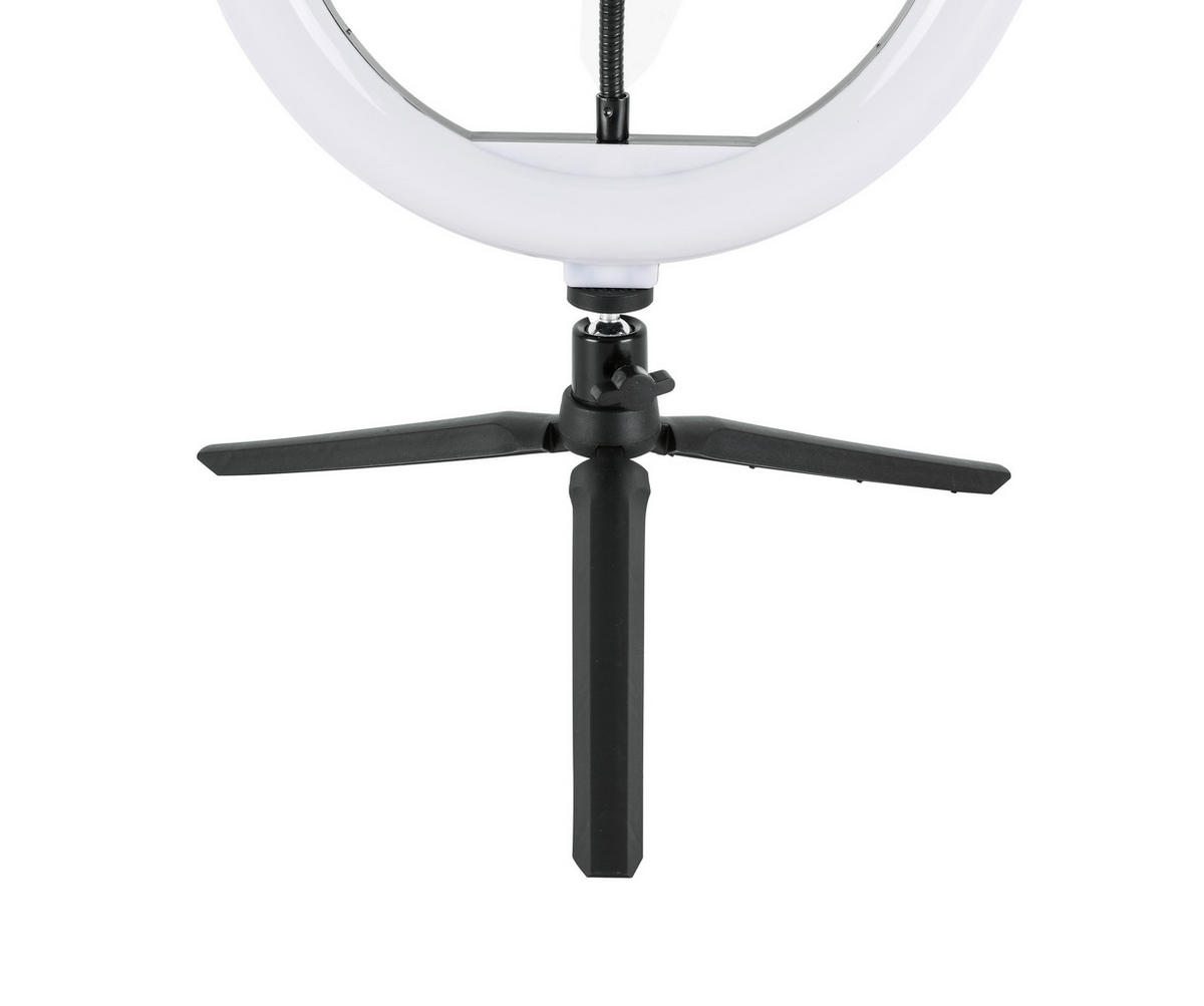 LED-RINGLAMPA 24,5/38 cm   - vit/svart, Trend, metall/plast (24,5/38cm) - Novel