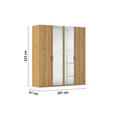 DREHTÜRENSCHRANK 201/223/60 cm 4-türig Eichefarben  - Eichefarben/Silberfarben, Design, Glas/Holzwerkstoff (201/223/60cm) - Novel