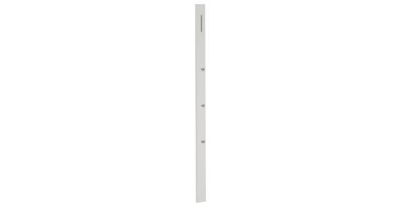 GARDEROBENPANEEL in 10/165/5 cm - Weiß, Design, Holzwerkstoff/Metall (10/165/5cm) - Moderano