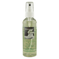 RAUMDUFT 100 ml   - Naturfarben, Basics, Kunststoff (100ml)