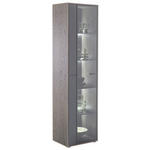 VITRINE  in furniert Eiche Schwarz, Eichefarben - Eichefarben/Anthrazit, Design, Glas/Holz (50/190/37cm) - Novel