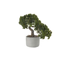 BONSAI - zelena, Osnovno, plastika (24,5/17,5/24,5cm) - ASA