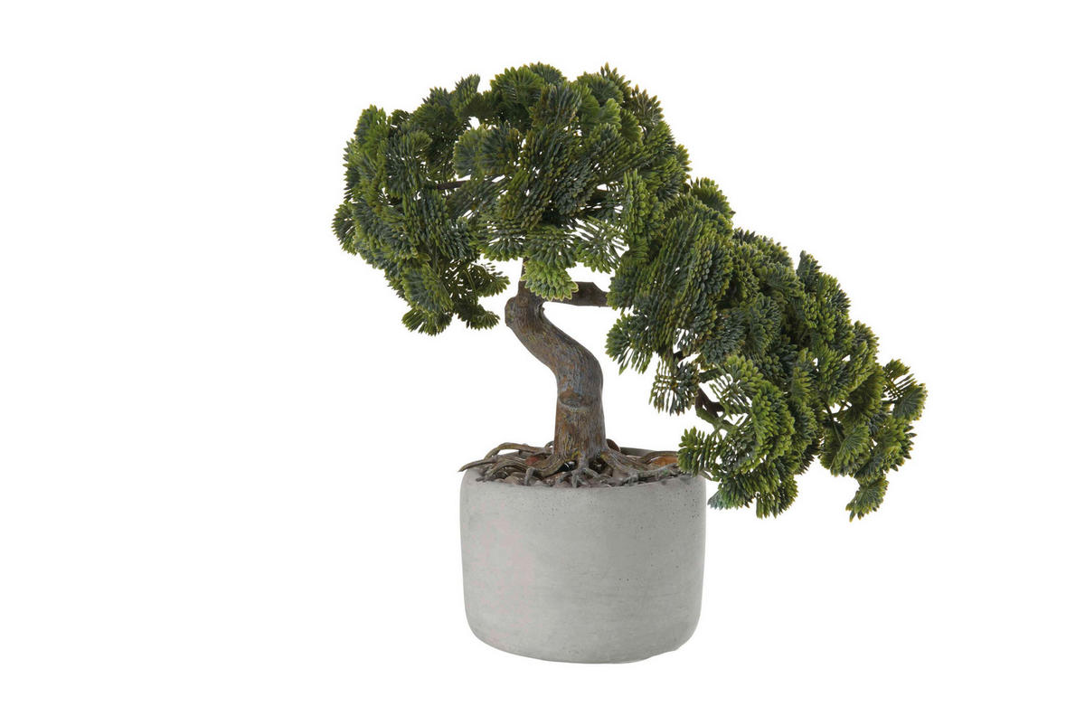 BONSAI - zelena, Osnovno, plastika (24,5/17,5/24,5cm) - ASA