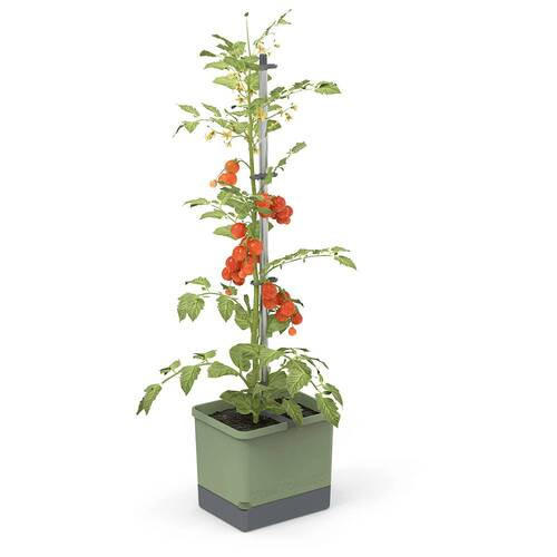 PFLANZENTOPF   - Dunkelgrün, Basics, Kunststoff (34,7/135,4/27,7cm) - Gusta Garden