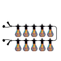 LICHTERKETTE 300 cm  - Transparent/Schwarz, KONVENTIONELL, Kunststoff (300cm)