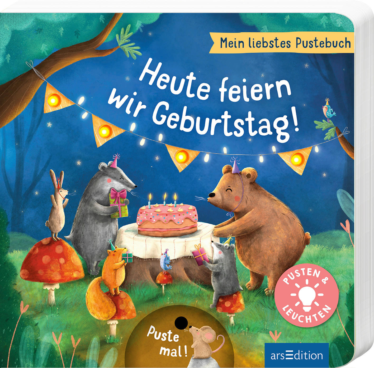 PUSTEBUCH Puste Mal! Heute feiern wir Geburtstag!  - Multicolor, Basics, Papier (19,5/19,5/1,6cm)