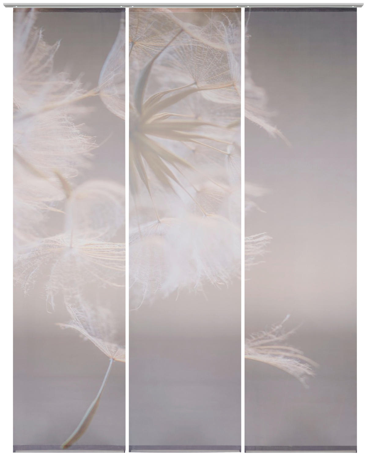 FLÄCHENVORHANG  3 Stück  halbtransparent  60/245 cm   - Taupe, Basics, Textil (60/245cm) - Novel