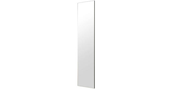 WANDSPIEGEL 38,5/173/2 cm  - Klar, Design, Glas (38,5/173/2cm) - Johann Jakob