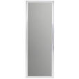 WANDSPIEGEL 186/67/2 cm    in rechteckig  - Silberfarben, Design, Glas/Holzwerkstoff (186/67/2cm) - Carryhome