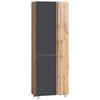 HOCHSCHRANK 65/180/35 cm  - Eiche Wotan/Grau, Modern, Holzwerkstoff (65/180/35cm) - Held