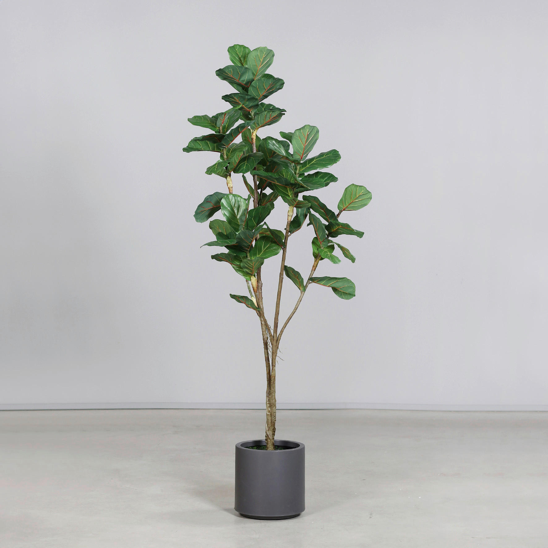 KUNSTPFLANZE 170 cm  - Gelb/Grau, Basics, Kunststoff (170cm)