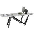 ESSTISCH in Kunststoff, Keramik 220/110/75 cm  - Anthrazit/Beige, Design, Keramik/Kunststoff (220/110/75cm) - Dieter Knoll