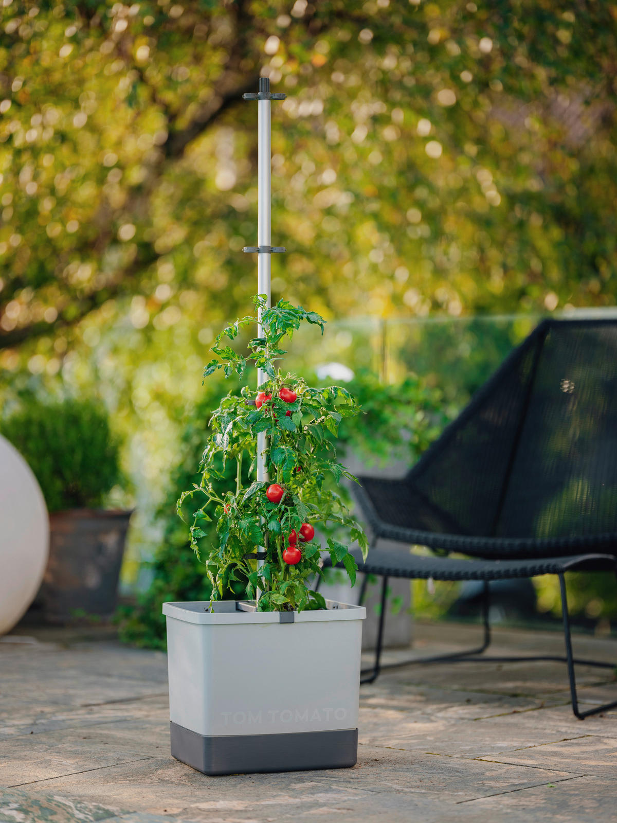 PFLANZENTOPF  TOM TOMATO  - Hellgrau, Basics, Kunststoff (34,7/135,4/27,7cm) - Gusta Garden