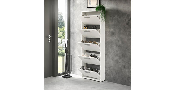 SCHUHKIPPER - Silberfarben/Weiß, Design, Holzwerkstoff/Kunststoff (59/169/17cm) - Carryhome