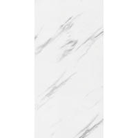 WANDPANEEL  - Weiß Hochglanz/Grau Hochglanz, MODERN, Kunststoff (120/60/0,37cm)