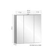 SPIEGELSCHRANK 60/64/20 cm - Eiche Wotan/Alufarben, Natur, Glas/Holzwerkstoff (60/64/20cm) - Xora