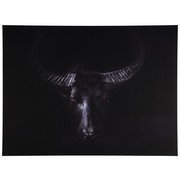 Tiere KEILRAHMENBILD - Multicolor, Design, Holz/Papier (135/100/3cm)