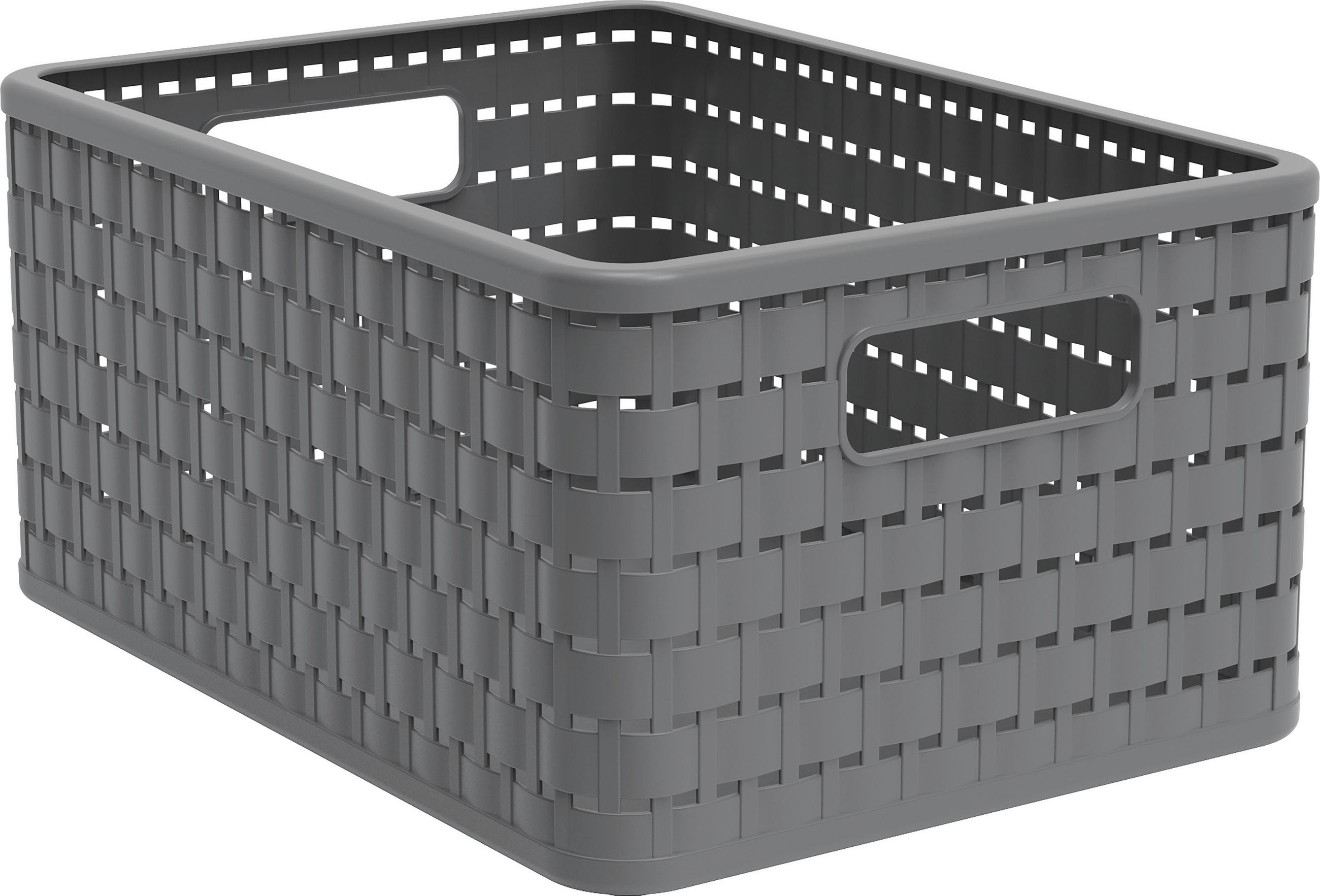 AUFBEWAHRUNGSBOX     - Schwarz, Basics, Kunststoff (23,8/16/32,8cm) - Rotho