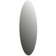 WANDSPIEGEL 35/110/1 cm    in oval  - Design, Glas (35/110/1cm) - Carryhome