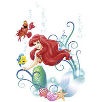 DEKOSTICKER Arielle  - Klar/Multicolor, LIFESTYLE, Kunststoff (50/70cm) - Komar