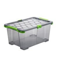 BOX MIT DECKEL EVO SAFE  - Anthrazit/Grün, Basics, Kunststoff (59/39,5/28cm) - Rotho