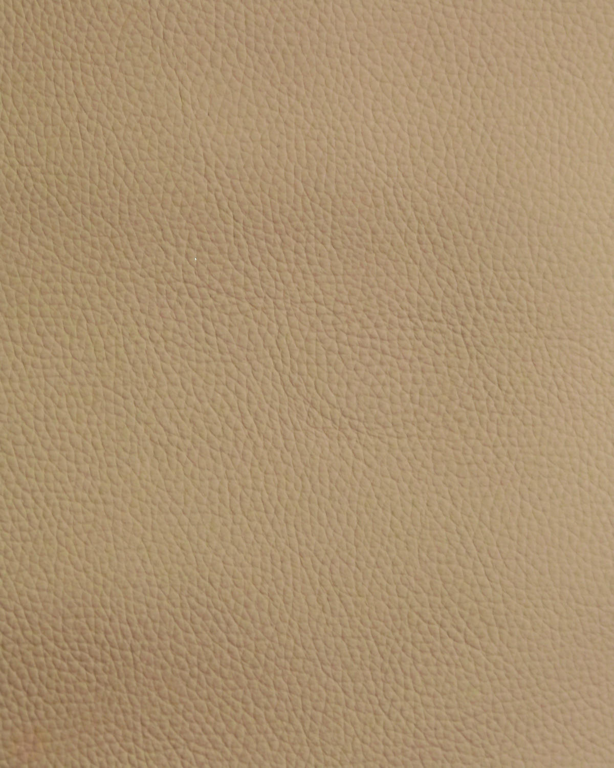 ARMLEHNSTUHL  in Eisen Echtleder pigmentiert  - Taupe/Eichefarben, Design, Leder/Holz (62/92/66cm) - Dieter Knoll