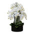 KUNSTBLUME Orchidee - Dunkelgrün/Weiß, Basics, Kunststoff (93cm) KUNSTBLUME Orchidee - Dunkelgrün/Weiß, Basics, Kunststoff (93cm)