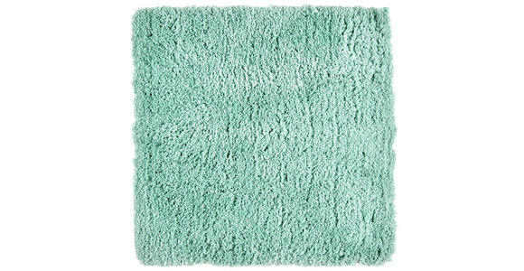 BADEMATTE 60/60 cm Grün - Grün, Basics, Kunststoff/Textil (60/60cm) - Ambiente