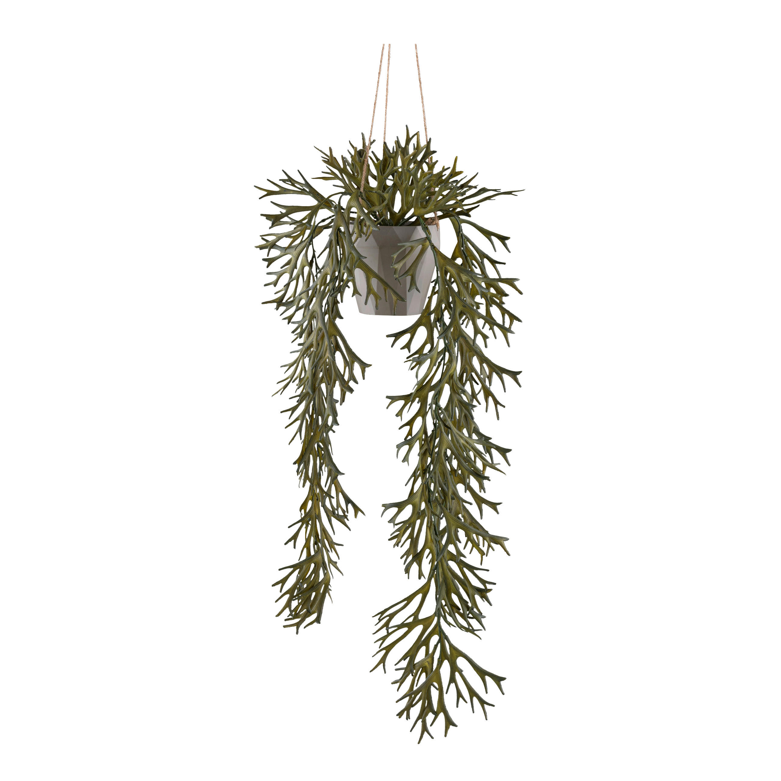 KUNSTPFLANZE Farn 70 cm  - Olivgrün, Design, Kunststoff (70cm) - P & B